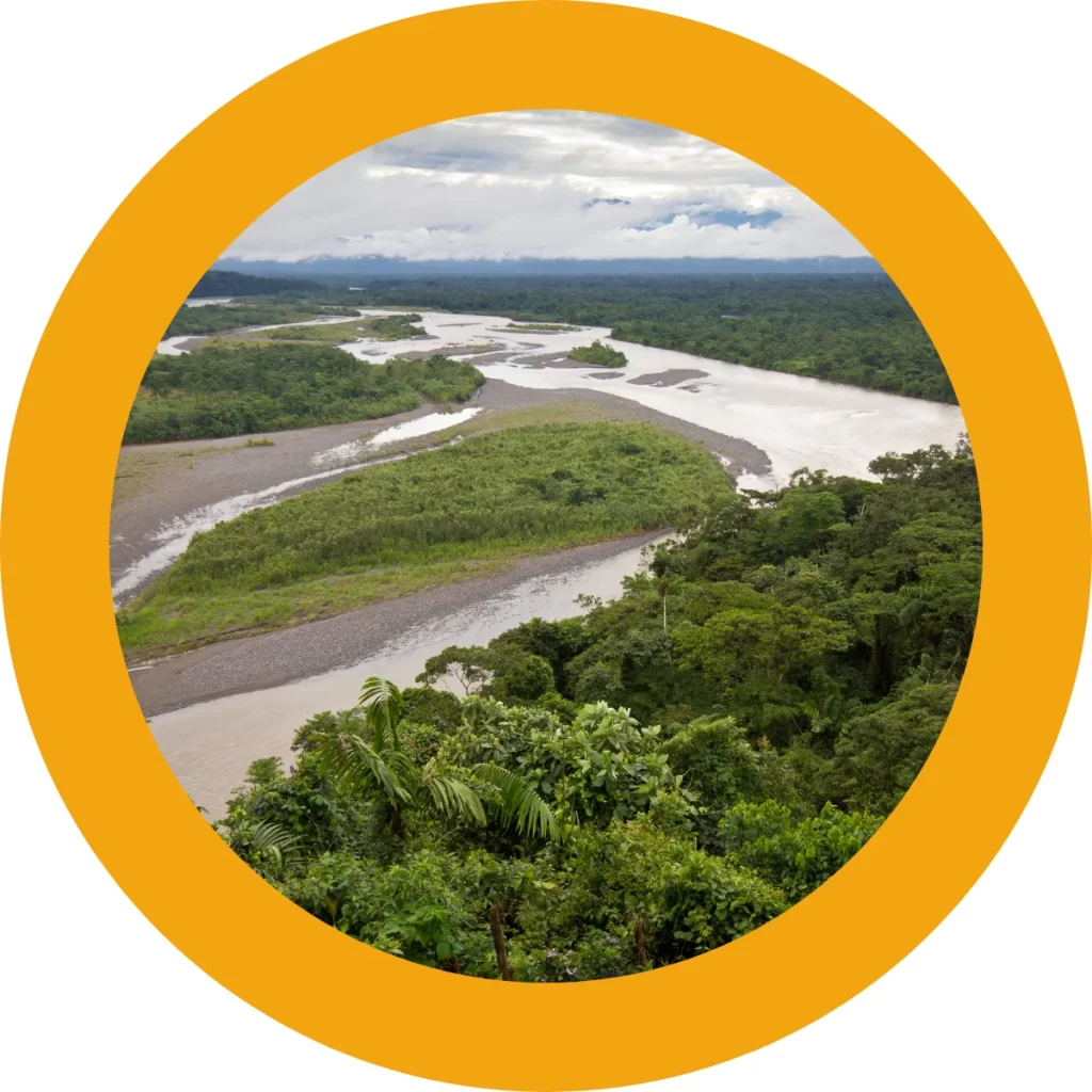 Comprobantes electrónicos Menatics amazonía